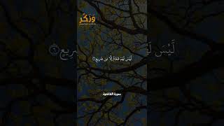 سورة الغاشية الآيات من 1 إلى 9 بصوت القارئ سعد الغامدي #حالات  #quran #قرآن  #shorts