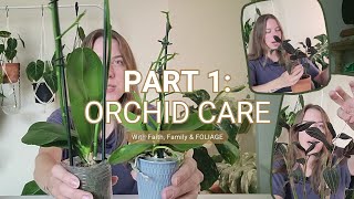 Part One: Orchid Care | Propagating a Jewel Orchid and more! What care tips do you have?