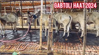 Gabtoli Gorur Haat 2024 | গাবতলী গরুর হাট ২০২৪