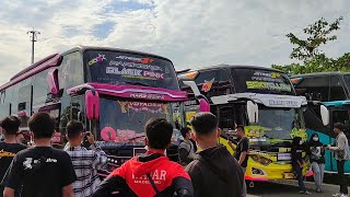 CINEMATIC BUS TRIP MAJT SEMARANG FREE MENTAHAN