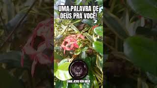 A boca fala do que está cheio o coração #palavra #palavradedeus #jesus