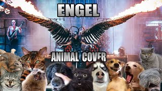 Rammstein - Engel (Animal Cover)