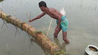 New small fishing method in flood water।। natural village fishing video