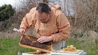 Comment aider vos abeilles à se développer rapidement ? Quelques réponses - Apiculture S03E03