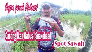 Mancing ikan Gabus || Edisi Casting