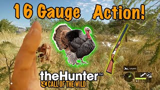 Turkey Hunting On Rancho Del Arroyo theHunter Call Of The Wild