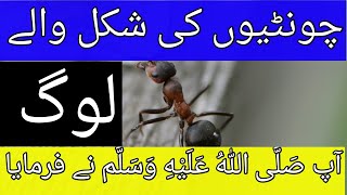 Chontiyon ki shakal waly log | Hazrat Muhammad (pbup) | Takabbur