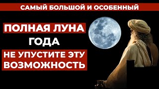 23 Май | Самый особый день года | Полнолуние | Будда Пурнима | Русская мотивация | Форт.садгуру