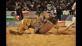 Senegalese Wrestling: Rock Mbalax vs Bathie Seras