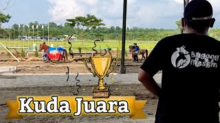 Kuda Juara Pacuan Kuda Nasional