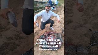 Jorge 29 kg pescaria de tilápias na diária, pesqueiro doidos por pesca #pesqueiro