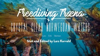 Freediving Træna | Crystal Clear Norwegian Waters