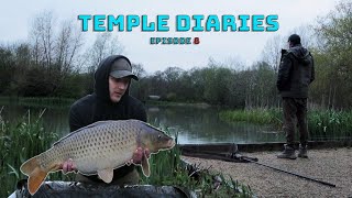 **CARP FISHING** The Road To Catching A 40lb Temple Carp  Episode 8