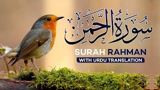 Surah Rahman with Urdu Translation | Surah Rahman with urdu Tarjuma  | Love Teaching Quran