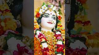 Barsane Ki  Chatur Gujariya #Radhe Radhe #bhaktibhajan #ytshortsvideo #🪷🪷🪷🪷🙏🙏