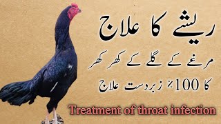 murge ke gale me resha ka ilaj | treatment of throat infection