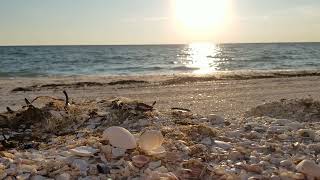 Beach sounds at s Gulf of Mexico beach- Bonita Springs Florida #floridabeaches #nature #beachsounds