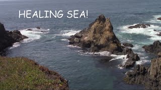 HEALING SEA