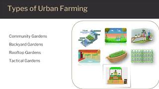 Urban Farming