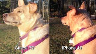 Camera Comparison - Canon 7D vs. iPhone 4S