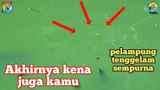 Tarikan ikan ini mantap bikin pelampung tenggelam sempurna