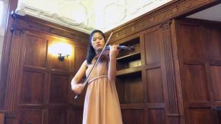 Mozart: The Magic Flute - Duet "Pa Pa Pa" for solo violin