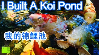 I Built a Koi Pond 我建了一个锦鲤池