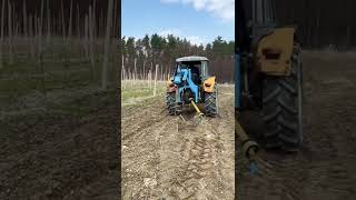 Apple trees plantation season in Poland