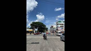 It’s another beautiful afternoon in Mysuru | The hard sunlight makes the city looks so epic