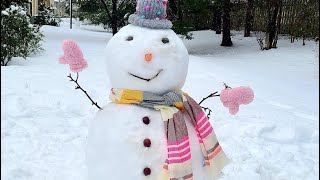 Do You Want To Build A Snowman?!! | Illinois Winter 2021