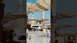 میں دیکھتا ہی رہوں بس تمہارے روزے کو #love #beautifulmadina #beautiful #madinahlive #urdu #madinah