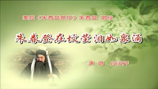 秦腔《朱春登祭坟》选段：朱春登在坟茔泪如泉涌/段淑芹演唱