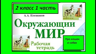 Окружающий мир 2 класс рабочая тетрадь. Про кошек и собак