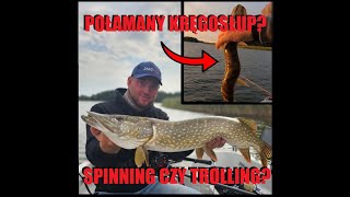 SPINNING vs TROLLING czyli lajtowy dzień na rybach / połamany szczupak