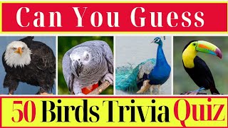 Top 50 Birds Trivia Quiz! 🦜🐦 || Birds Quiz || #BirdQuiz