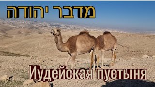 מדבר יהודה   Иудейская пустыня