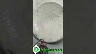 dish settings and repair|dd free dish|Paksat new update