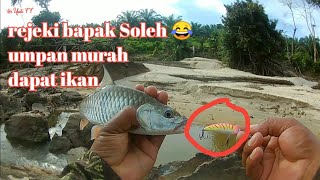 REJEKI PEMANCING IKAN HAMPALA DI SUNGAI