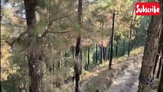 Lansdowen #yshorts #theviral #funny #viral #uttarakhand