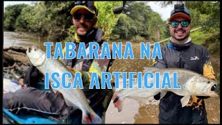 PESCARIA DE MUITAS TABARANAS NO RIO TAQUARI!