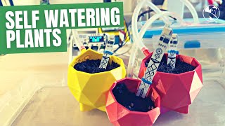 How to make a Self Watering Plant System with Enviro Grow and Grow Hat Mini