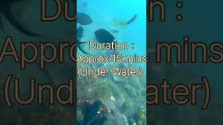 Scuba Diving at Malvan in Crystal Clear Water || पाण्याखालचे जग ||