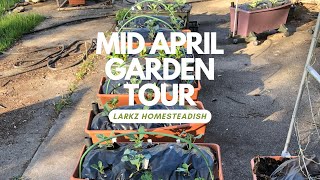 A Mid April Garden Tour and update