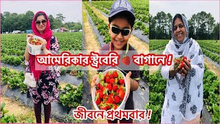 আমেরিকার কৃষকদের স্ট্রবেরি 🍓বাগান |Strawberry Garden in USA|Bangladeshi American Vlogger