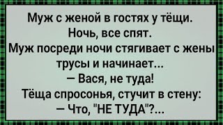 Как Муж с Женой в Доме Тещи Грешили! Сборник Свежих Анекдотов! Юмор!