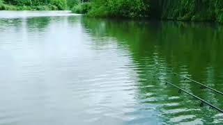 Lodge Lake (Milton Keynes) - Fishing