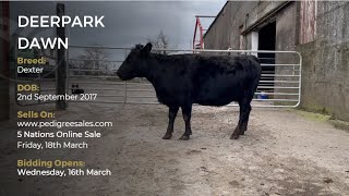 DEERPARK DAWN - Dexter - Pedigree Sales Livestock Auctions