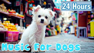 Relaxing Dog Music 🐶 24 HOURS of Deep Separation Anxiety Music for Dog Relaxation