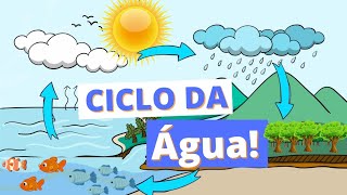 O Ciclo da Água - O que é o ciclo da Água - Educação infantil