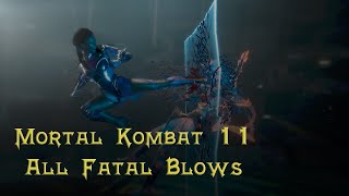 Mortal Combat 11: All Fatal Blows (60 FPS/No Hud)